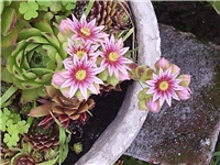 48a5a4d7-Picture 004.jpg